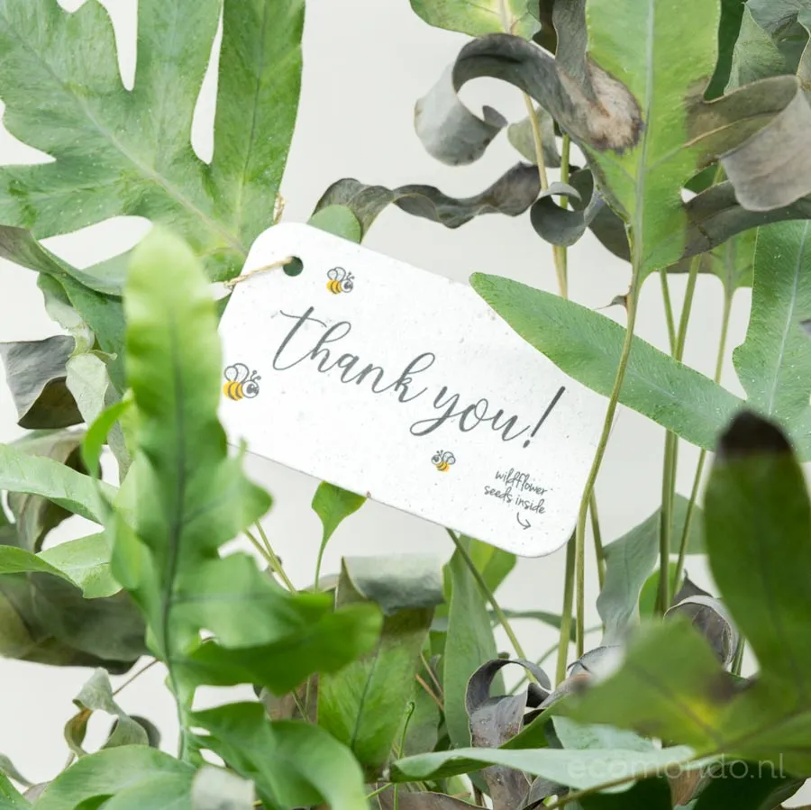 BLOOM – Plantbare Bedankkaartjes - Afbeelding 4