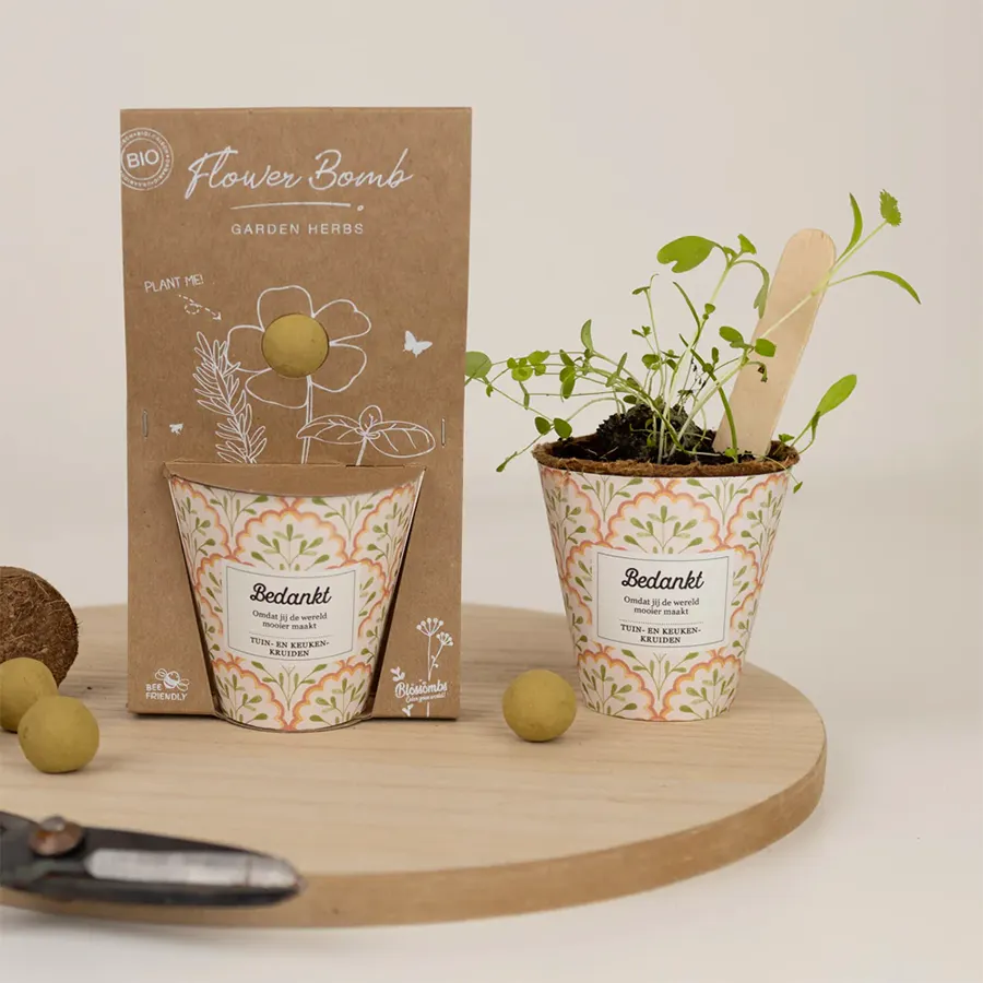 Blossombs Grow kit - Afbeelding 4