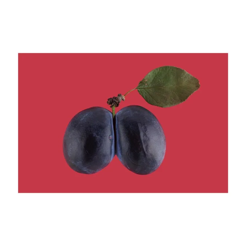 Toffe Peren Wenskaarten – Assorti - Afbeelding 7