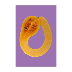 Toffe Peren Wenskaarten – Assorti