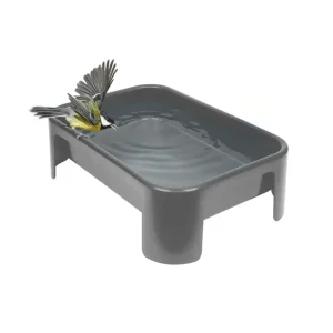 Vogelbad SingingFriend Johan